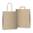 Two empty shopping brown bags