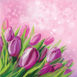 Vector of pink tulips.