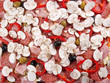 Raw pepperoini pizza