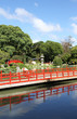 Summer Japanese garden. Landscape.