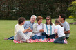 Photo: Family Having Picnic In Park Family Having Picnic In Park