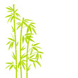 Green Bamboo