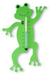 Wetterfrosch