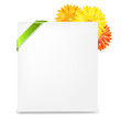 Yellow Gerber And Blank Gift Tag And Ribbon