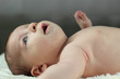 Cute naked baby boy lies on his back