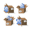 Set of Boxes with percent and dollar