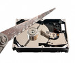 Hard disk cut with a hacksaw, on white background