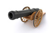 old cannon
