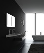 Interior of Luxurious Black Design Bath Room