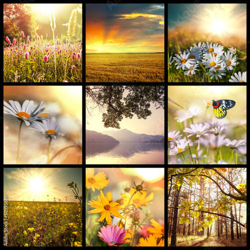 Photo: Flowers collage Flowers collage