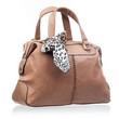 Fashion women handbag over white