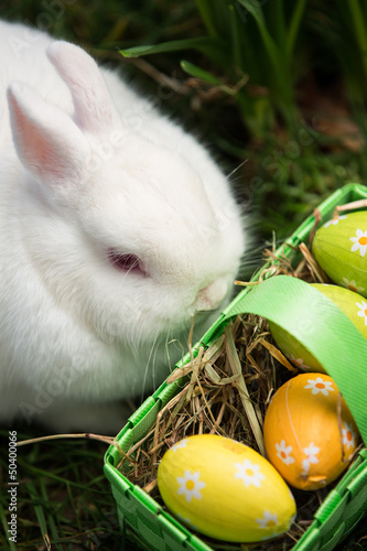 Photo: White bunny sitting beside easter eggs in green basket White bunny sitting beside easter eggs in green basket