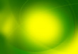 vivid green graphic backdrop