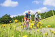 Frühjahrstour mit dem MTB