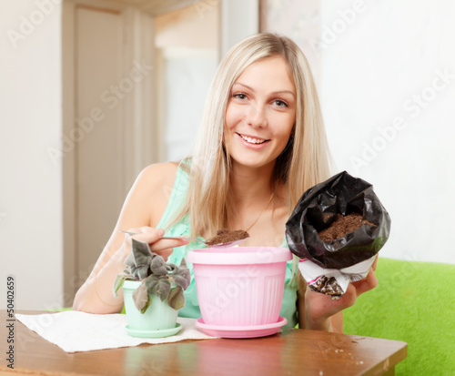Photo: woman transplants potted viola flower woman transplants potted viola flower