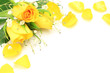 yellow rose and haze grass