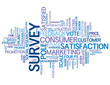 SURVEY Tag Cloud (satisfaction rate customer feedback poll)