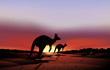 A big and a small kangaroo in the desert