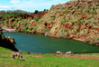 Lago de Cabarceno