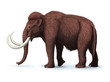 Mammoth
