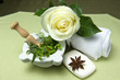 products for body care