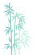 Bamboo Blue Colors Shadow