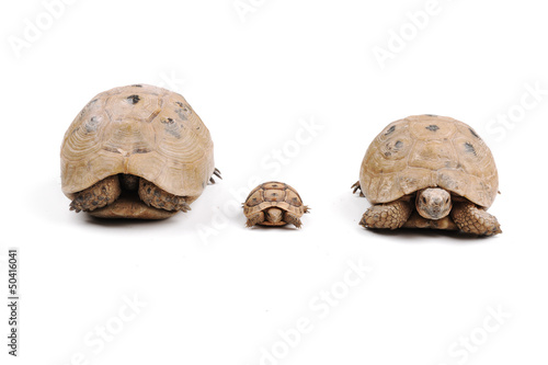 Photo: Family isolated Family isolated