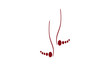 Silhouette pieds