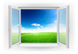window