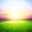 Field