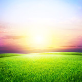 Field