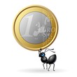 formica euro