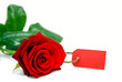 Photo: rotes Liebesgeschenk mit Textfreiraum auf rotem Kärtchen rotes Liebesgeschenk mit Textfreiraum auf rotem Kärtchen