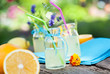 gartenparty - softdrinks