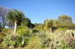 Photo: végétation du domaine du rayol végétation du domaine du rayol