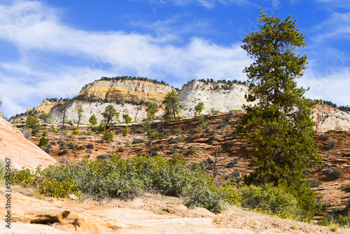 Photo: Zion National Park, USA. Zion National Park, USA.