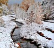 First Snowfall