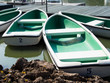 green boats in park