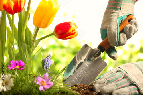 Photo: Gardening Gardening