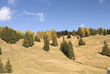 Foto: Gardena valley, South Tyrol Gardena valley, South Tyrol