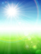 Summer background