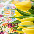 Tulpen