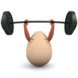 Egg holds a dumbbell.