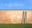 Ladder Against A Grunge Wall I...
