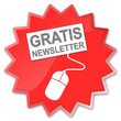 Icon Stern Newsletter