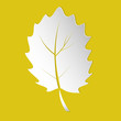 leaf silhouette yellow