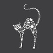 Vector: House a cat House a cat