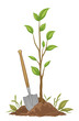 Gardening