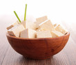 fresh tofu