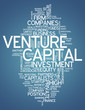Word Cloud "Venture Capital"